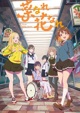 网站SEO优化分析内容